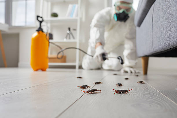 Commercial Kitchen Cockroach Control in Franklin Center